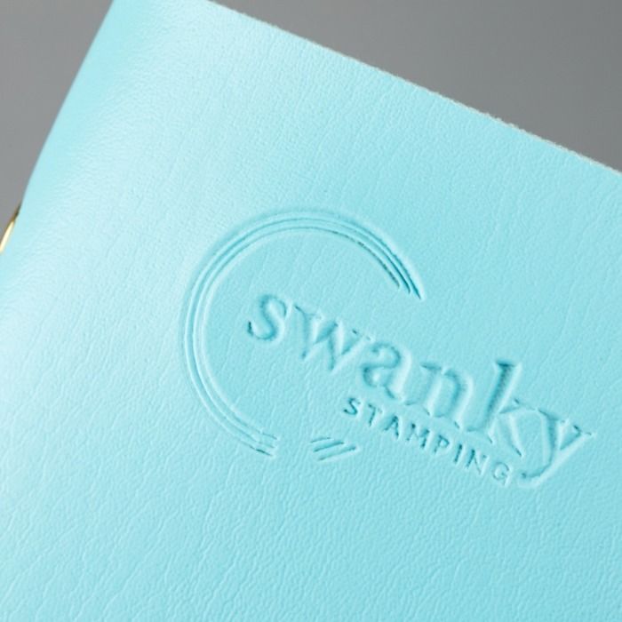 Swanky Stamping, Голубой кейс для 20 пластин